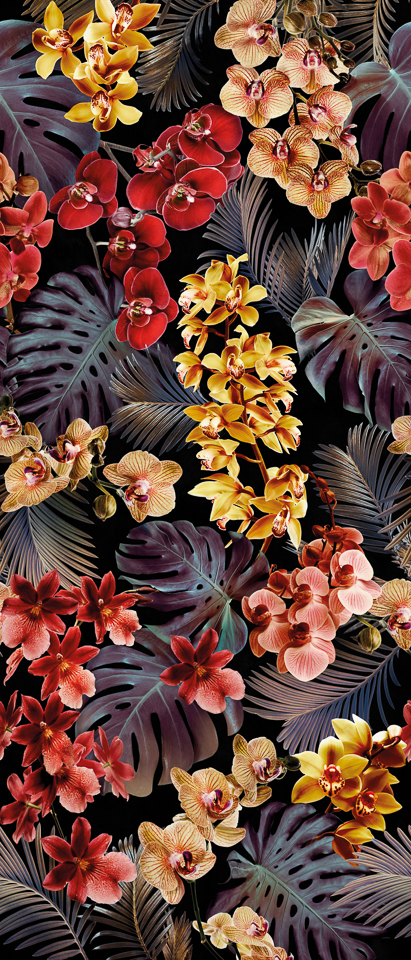 Orchidee 120x280 wall